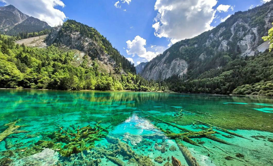 7 Days Chengdu Jiuzhaigou Tour with Panda, Leshan & Mount Emei