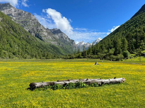 Muluozi Meadow in Changping Valley