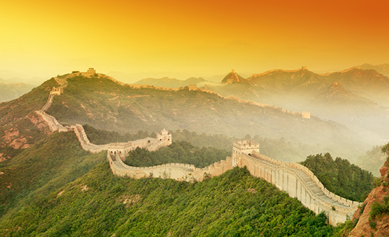 7 Days Tour from Beijing to Terracotta Soldiers and Panda