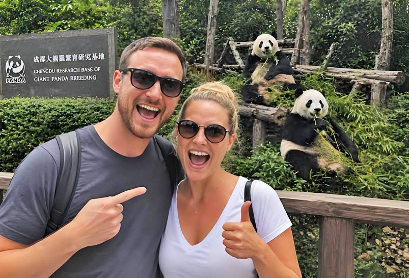 The Giant Panda in Chengdu Panda Base