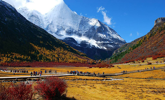 10 Days Singapore Chengdu Jiuzhaigou Huanglong Daocheng Yading Tour