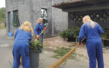 Cleaning up the panda poo