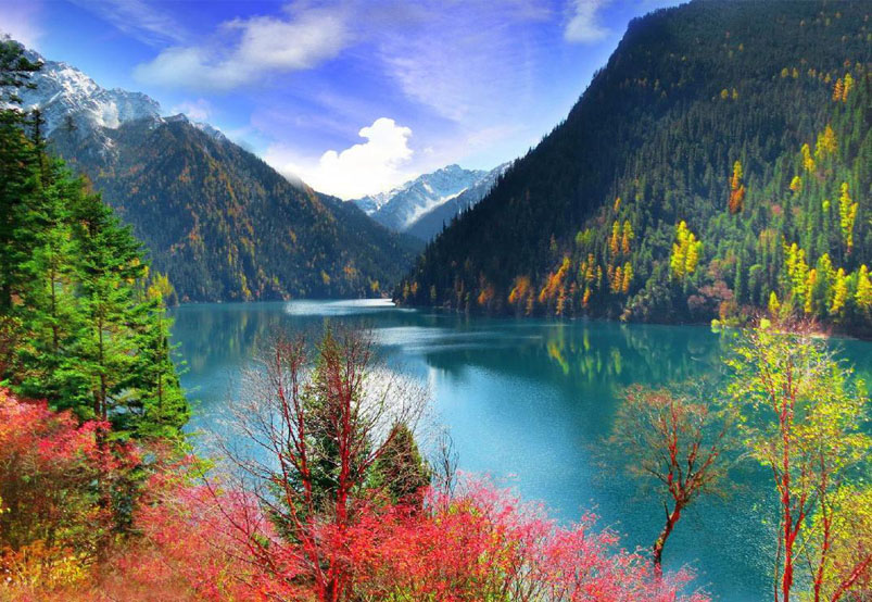 The Colorful Forests in Jiuzhaigou Valley