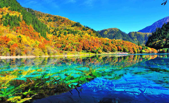 5 Days Jiuzhaigou Hailuogou Overland Tour 