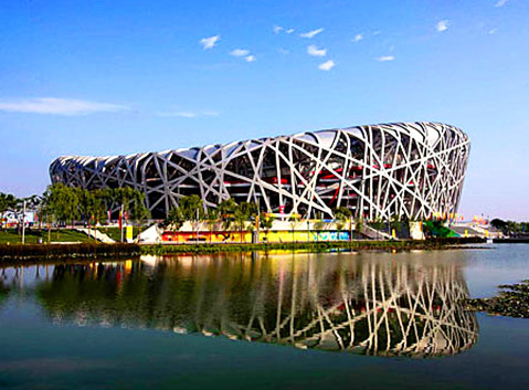 Bird's Nest