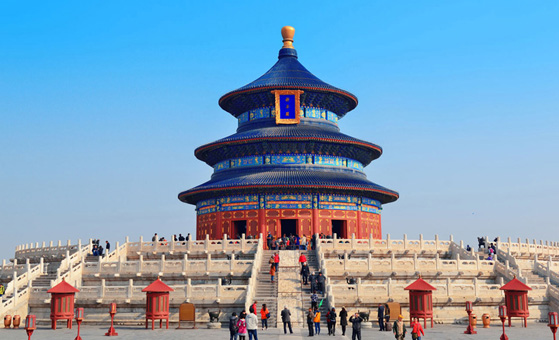 14 Days China Panda Volunteer Tour with Tibet Discovery 