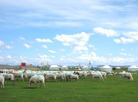 Ruoergai Grand Prairie
