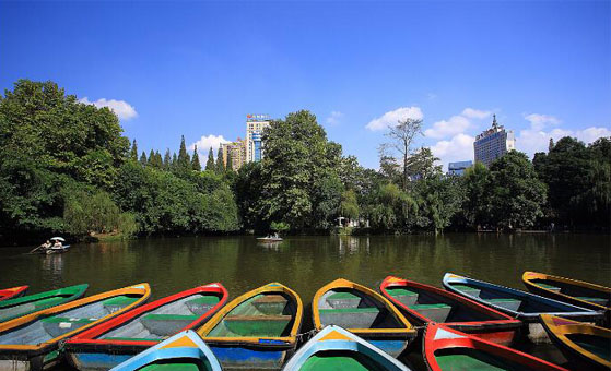 1 Day Chengdu Panda Culture  Tour