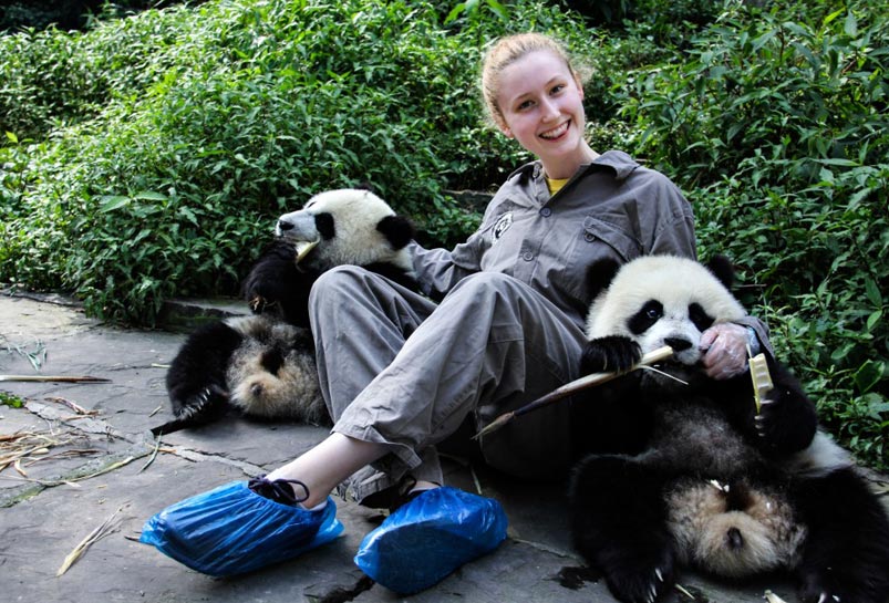 Cute Pandas at Wolong Panda Base