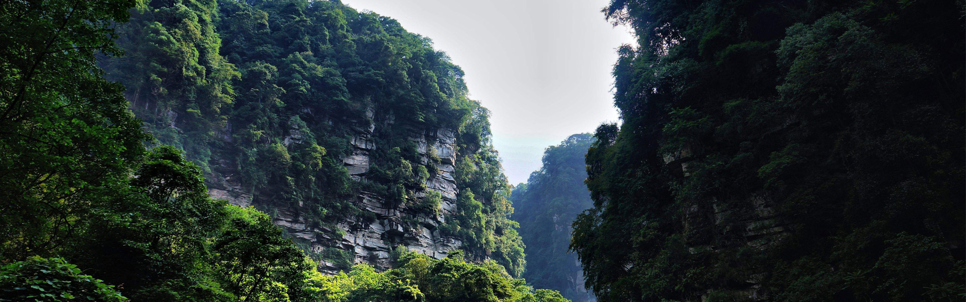  Bifengxia Tour