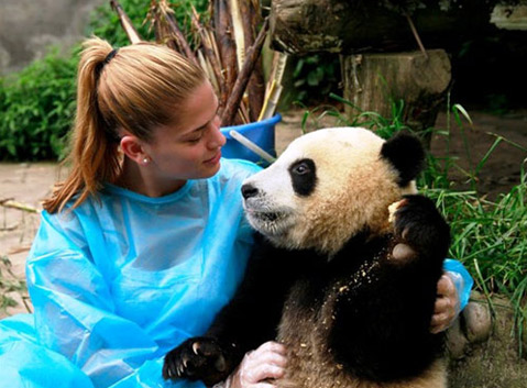 Hold the Giant Panda