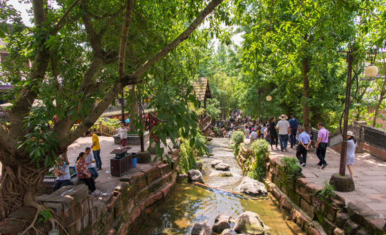 One Day Trip to Chengdu Panda Base & Huanglongxi Ancient Town