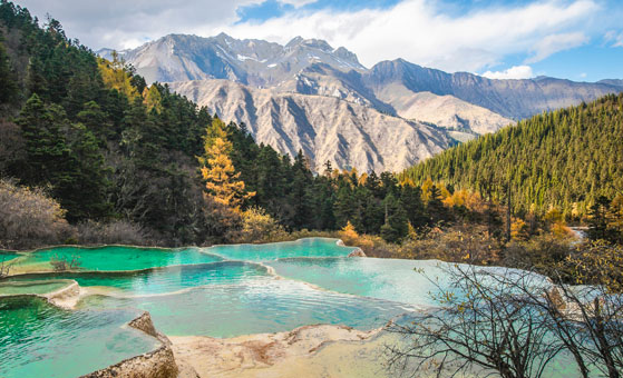 5 Days Classic Chengdu & Jiuzhaigou Tour (by Flight)
