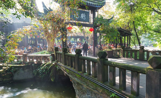 Chengdu Half Day Bike Tour