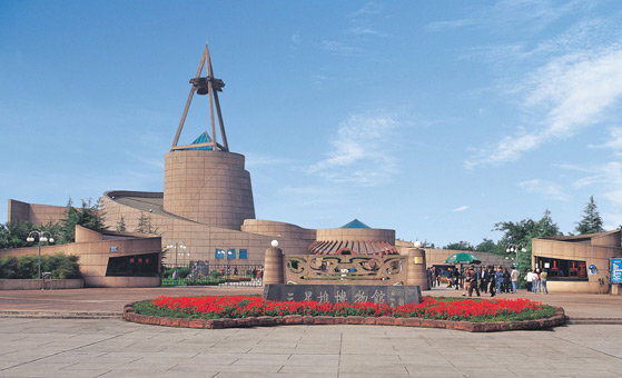 1 Day Chengdu Panda & Guanghan Sanxingdui Tour
