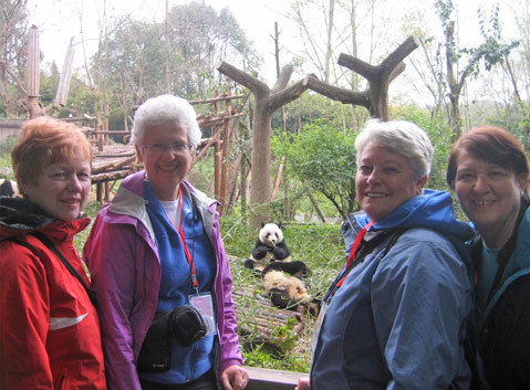 Taking Photos with Chengdu Giant Panda