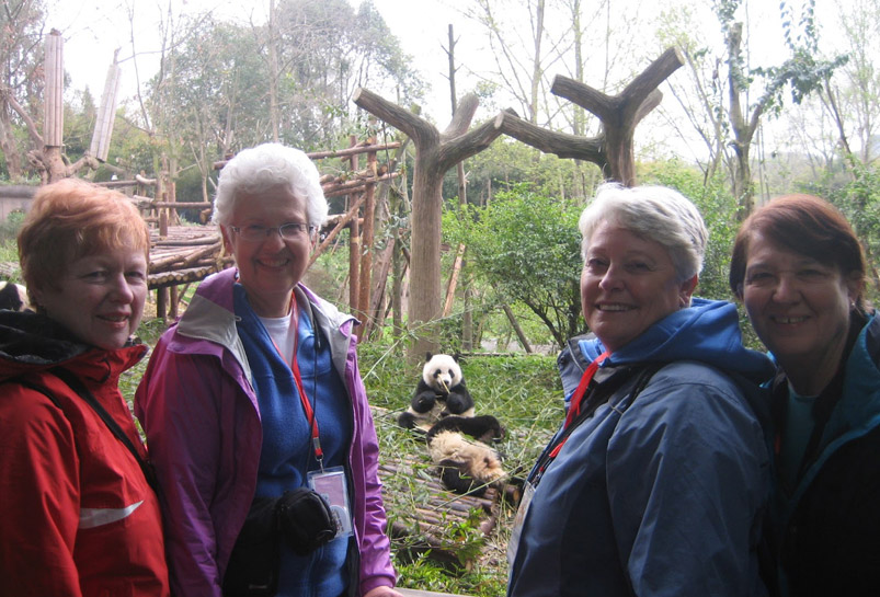 Taking Photos with Giant Panda