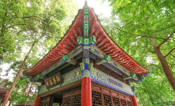 Half Day Chengdu Back Alley Foodie Tour