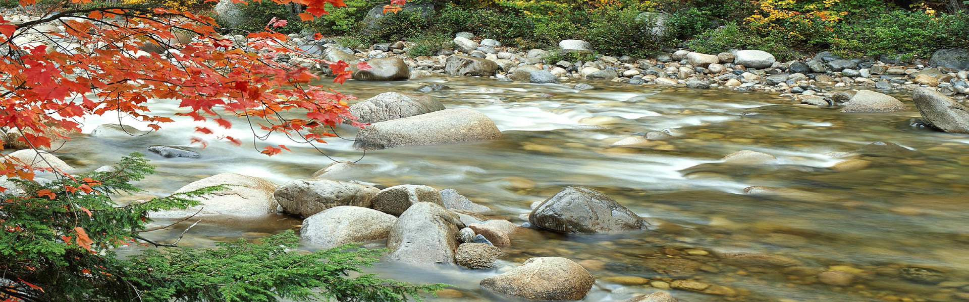 Wolong Nature Reserve