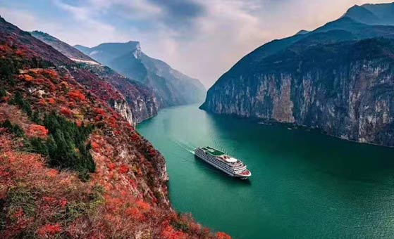 17 Days China Panda Tour with Yangtze Cruise