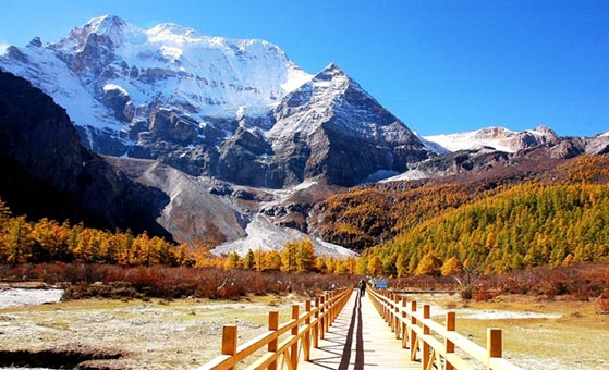8 Days Aba County and Yaqing Monastery Photography Tour Image
