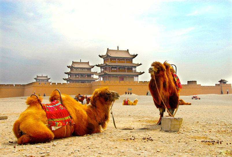 Camels outside of Jiayuguan Pass