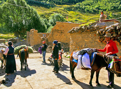 Rent Local Horse in Zhangna Township
