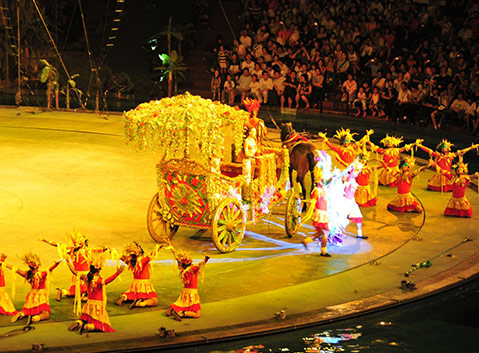 Chimelong International Circus