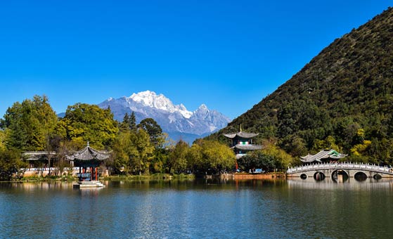 13 Days Central China Panda Tour