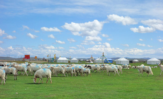 7 Days Jiuzhaigou Ruoergai Prairie and Huahu Lake Tour from Chengdu