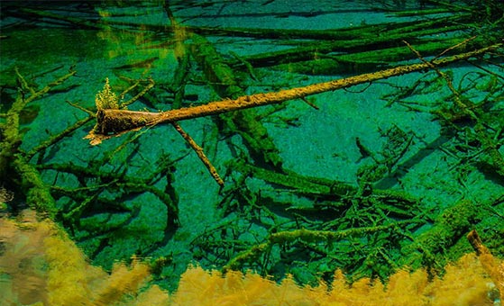 4 Days Jiuzhaigou Huanglong Group Tour