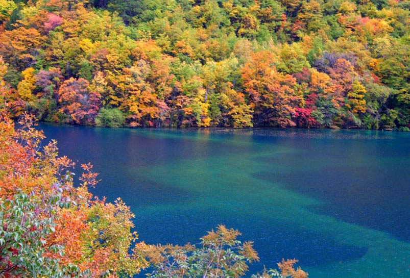 Colorful Jiuzhaigou Valley in Autumn