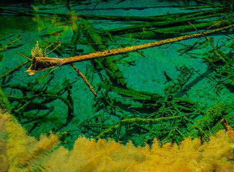 The Crystal Lake in Jiuzhaigou Valley