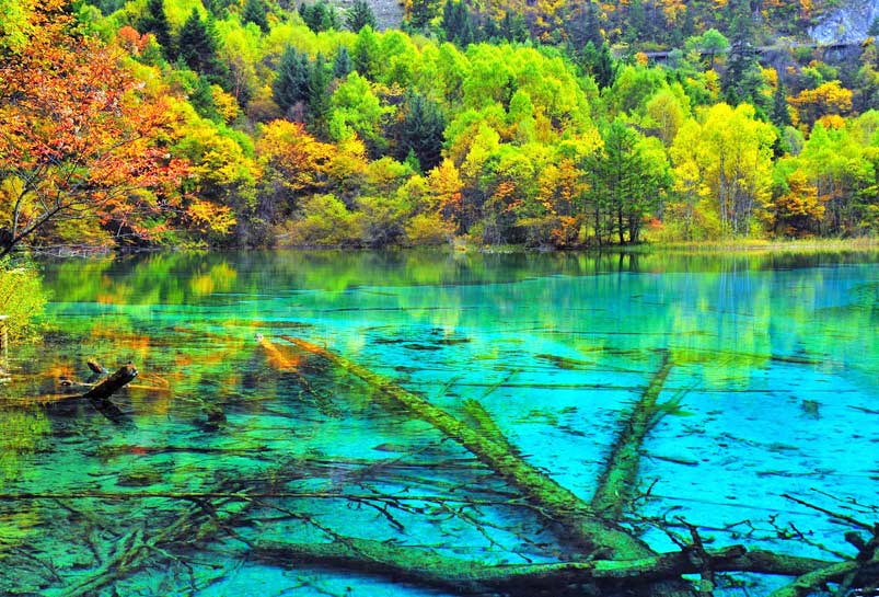 The Autumn Sceneries of Jiuzhai Valley