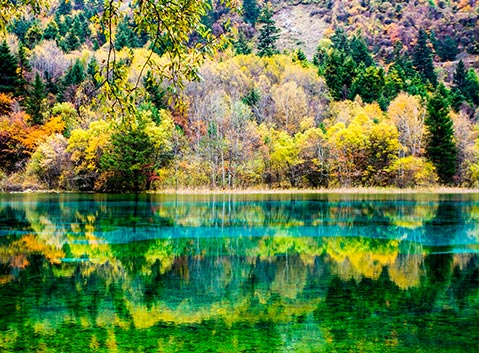 Jiuzhaigou Forests and Lakes