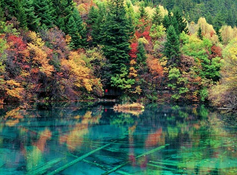 The Mirror Five-color Lake in Jiuzhaigou Valley