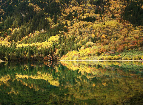 Five-Flower Lake of Jiuzhaigou