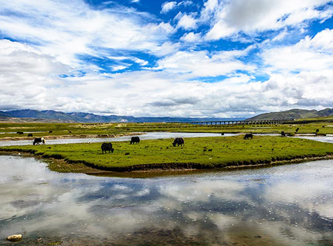 Yarlung Tsangpo River