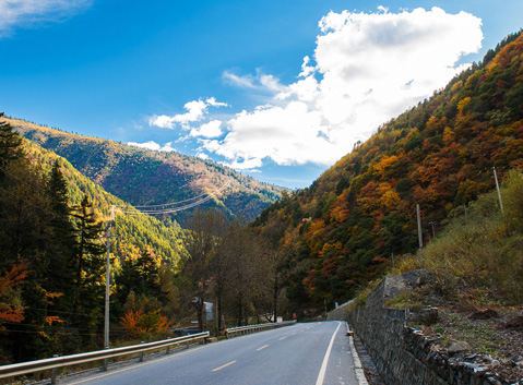 The Road to Milayo in Aumtumn