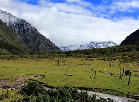 Gexi Grassland