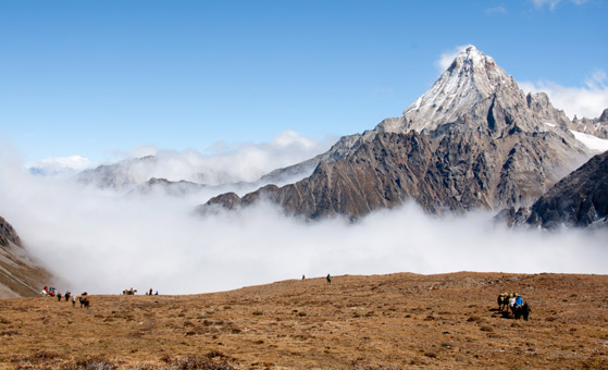 8 Days Mount Gongga, Conch Gully & Xinduqiao Tour 