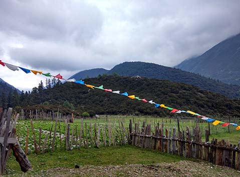 Zimei Village