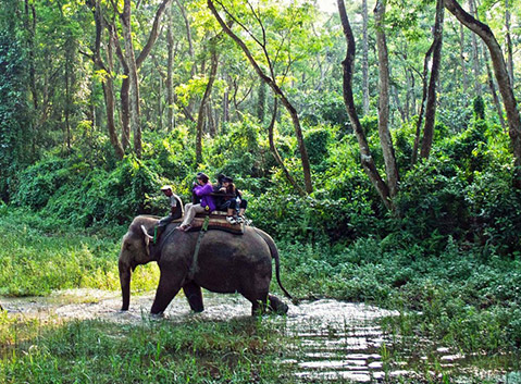 Chitwan National Park