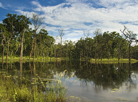 Chitwan National Park