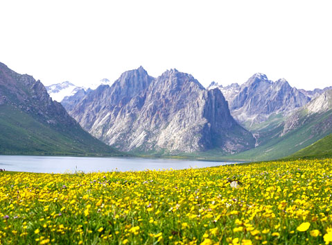 Nianbaoyuze Park in the Flower Season