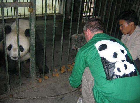 Feed panda with staff