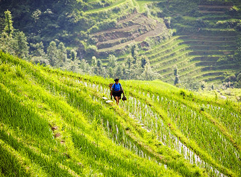 Longsheng Ethnic Minority People