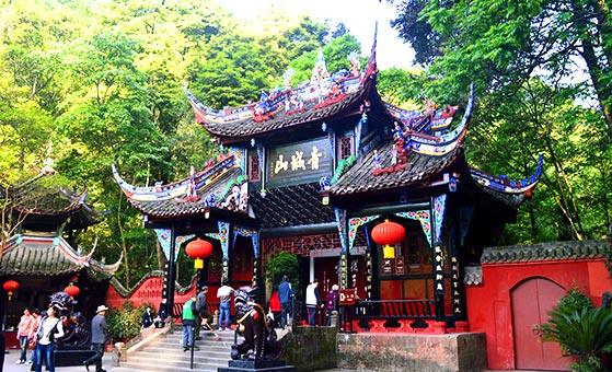 1 Days Dujiangyan and Qingcheng Mountain Tour