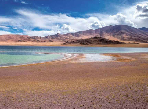 Qiangtang Grassland