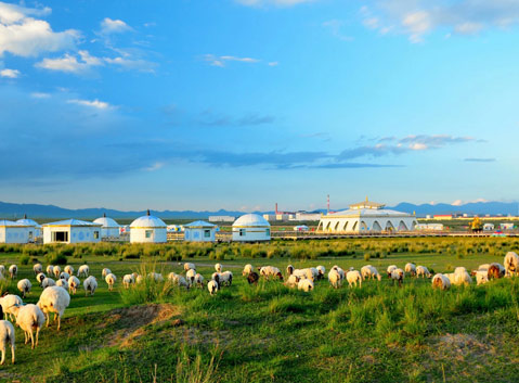 Jinyintan Prairie of Qinghai Province